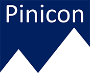 Pinicon Services Logo